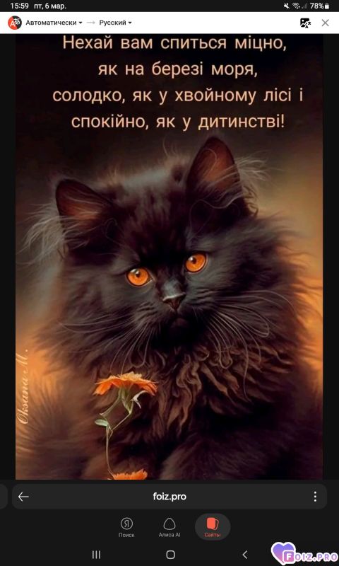 -Пожелание-