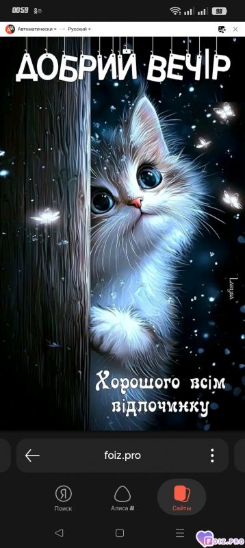 -Добрый-Вечер-