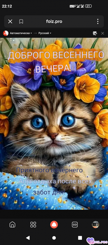 -Вечер-Отдых-