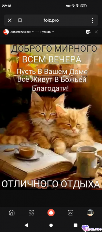 -Мирный-Вечер-