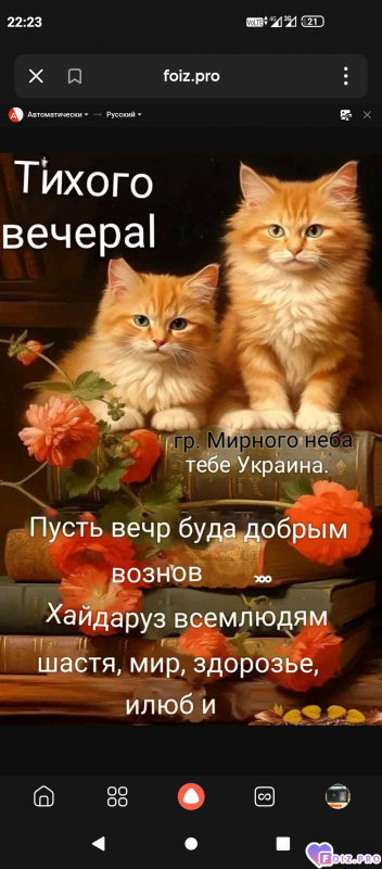 -Тихий-Вечер-