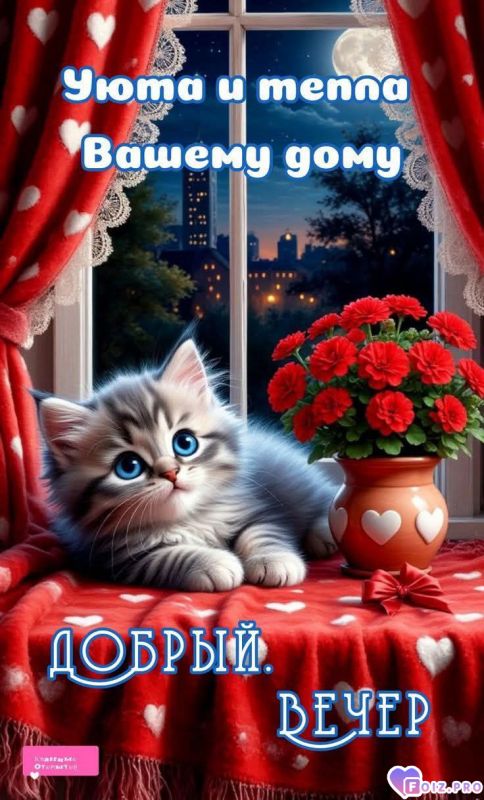 -Добрый-Вечер-