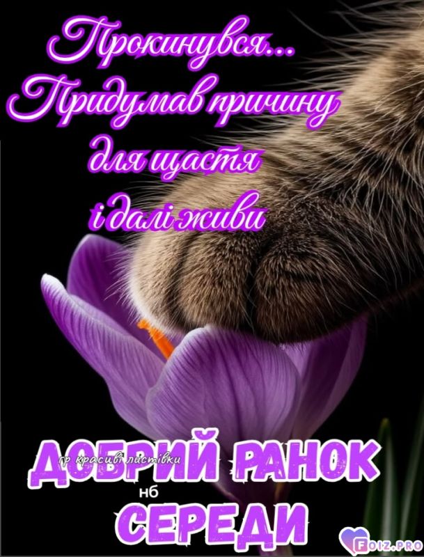 -Доброе-утро-