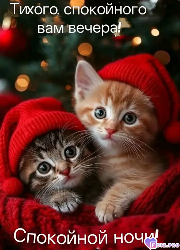 -Доброй-Ночки-