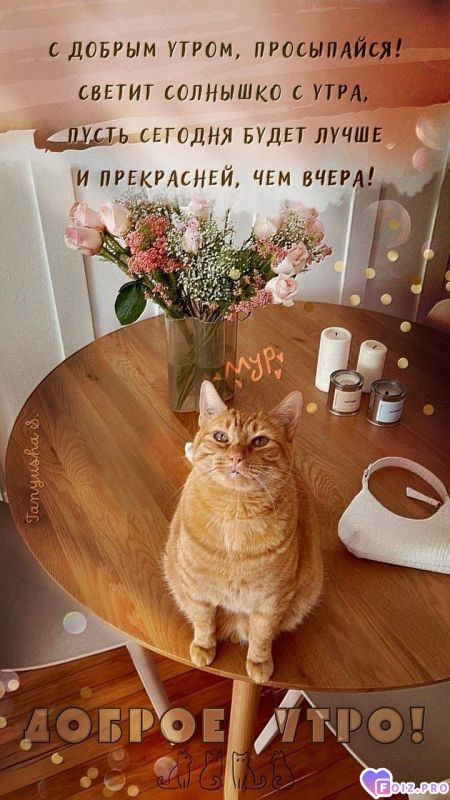 -Доброе-утро-