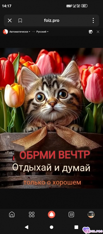 -Отдыхай-и-Думай-