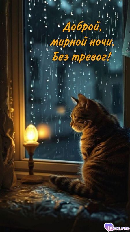 -Мирной-Ночи-