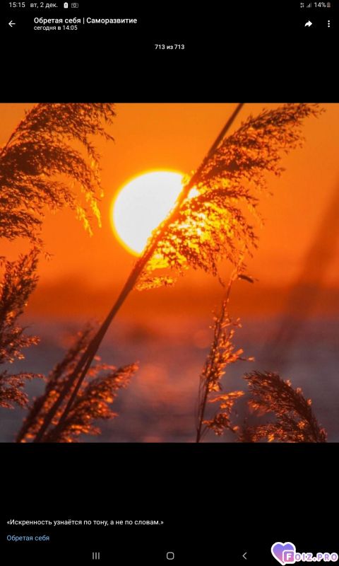 -Искренность-