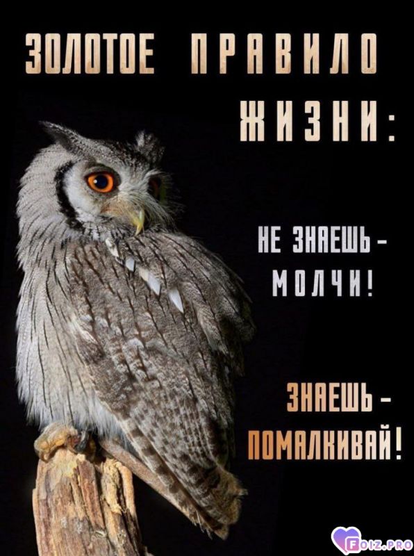 -Правило-Жизни-