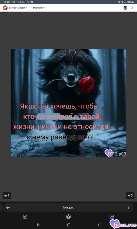 -330710-Взаимность-