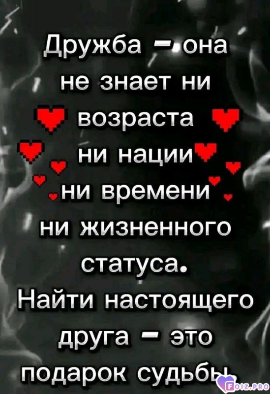 -408980-Дружба-