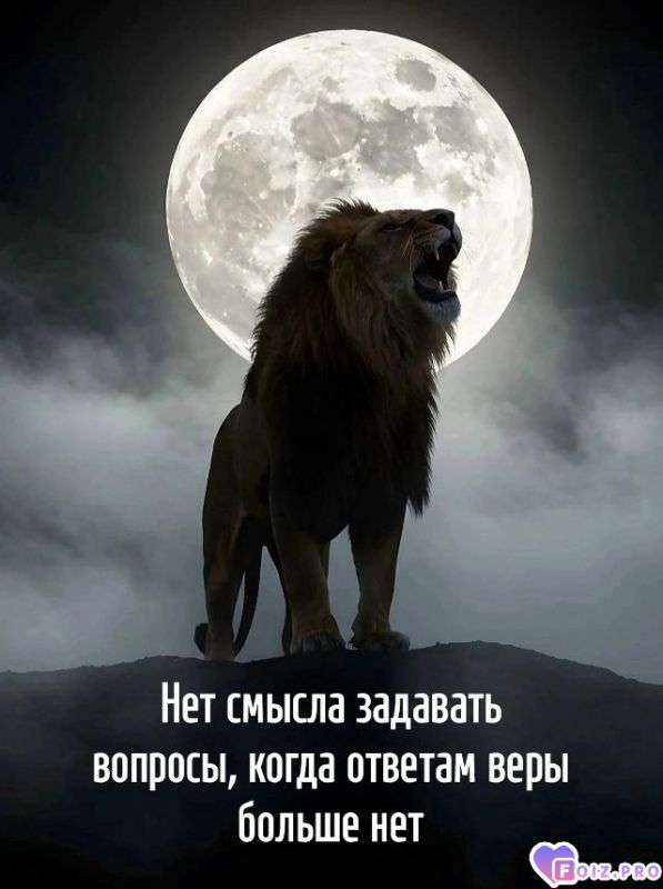 -384588-Нет-Веры-