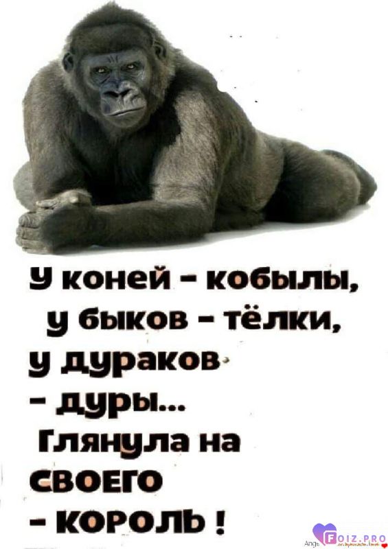 _265125_Сравнение_