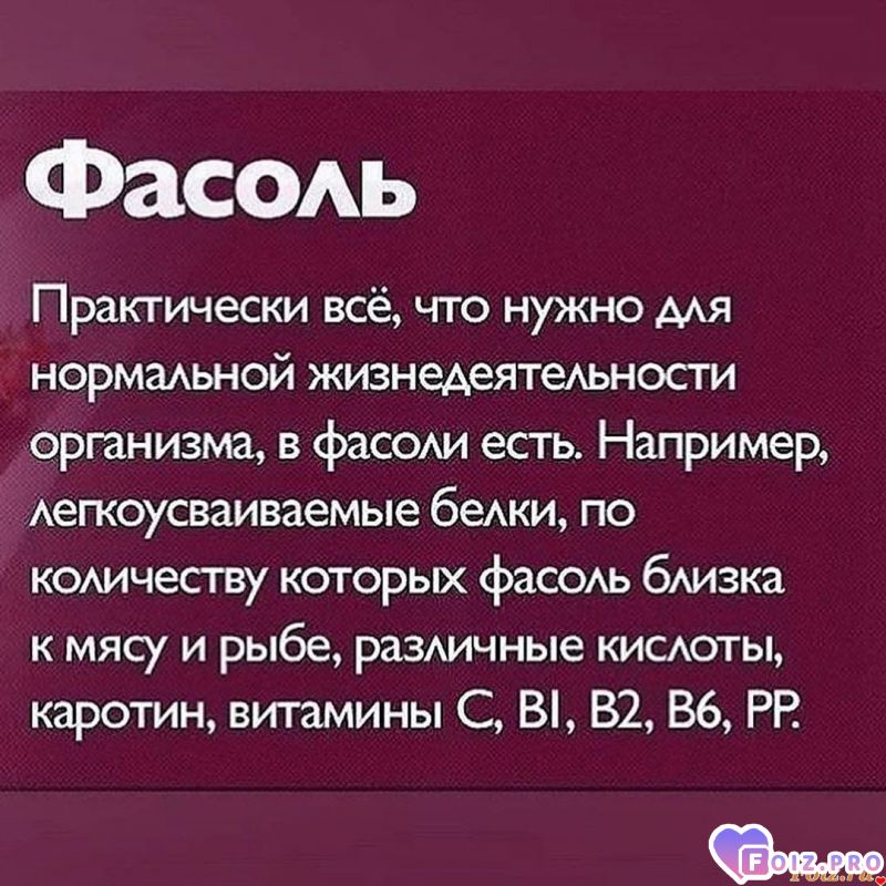 _Фасоль_