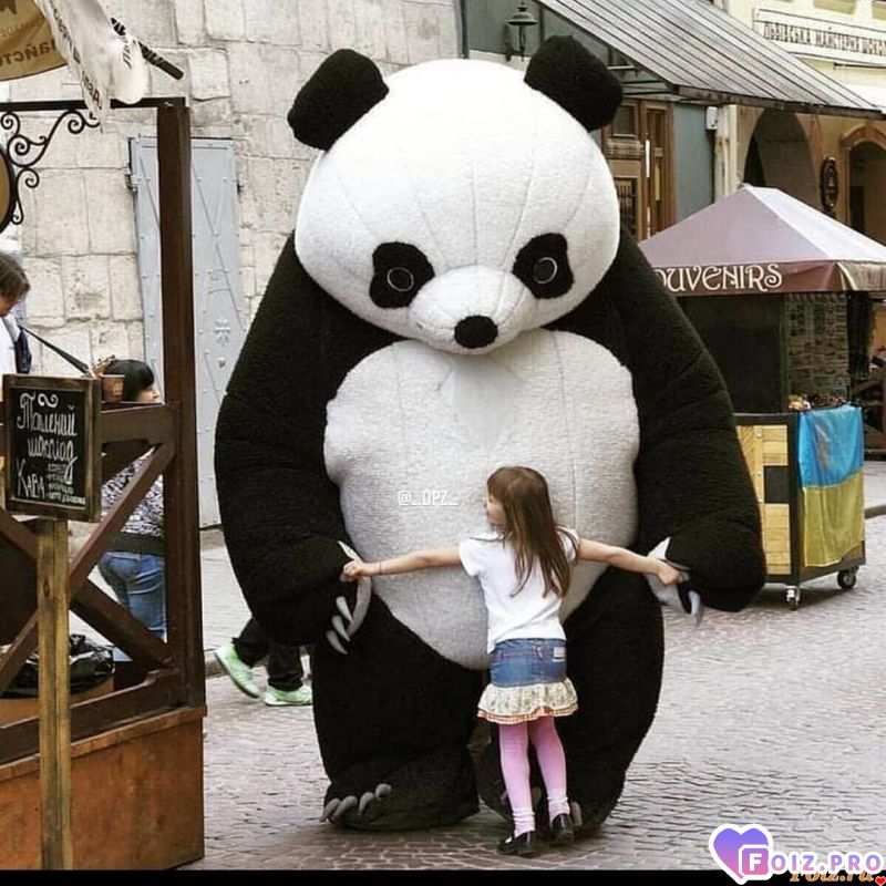 _Большая_Панда_