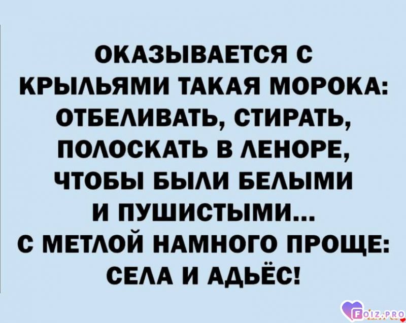 -262053-Крылья-