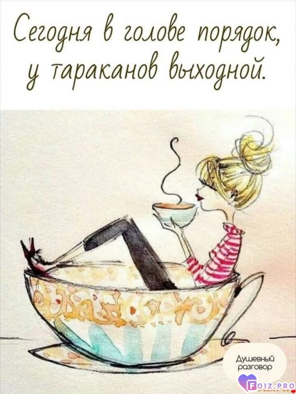 -328704-Выходной-Тараканы-