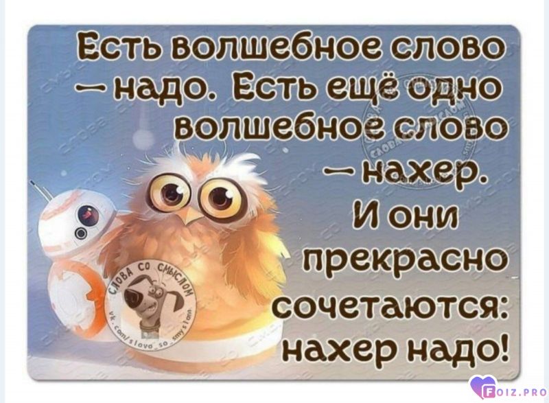 -278702-Сочетание-