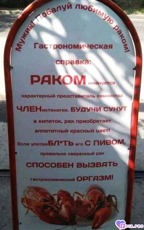 -Раки-и-Пиво-