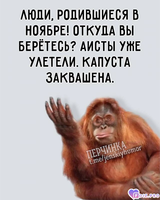 -Без-коммент-