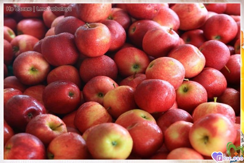-Яблоки-