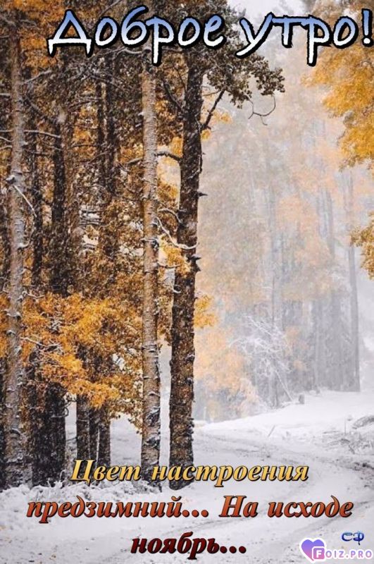 -20-Ноября-2022-Воскресенье-