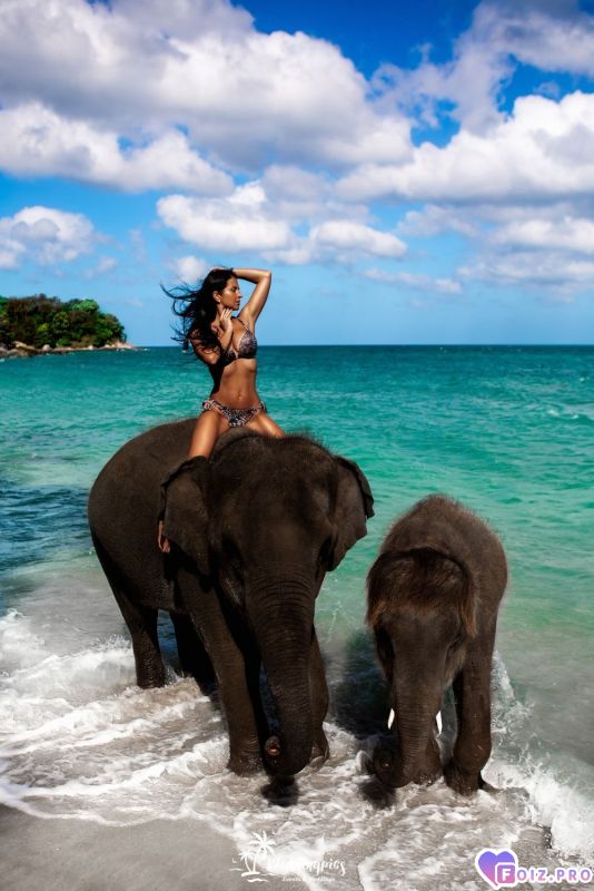 -362283-Девушка-и-Слон-