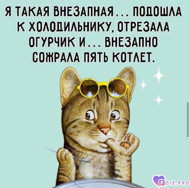 -Пять-Котлет-