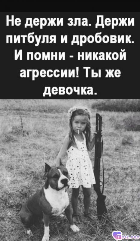 -143993-Дробовик-