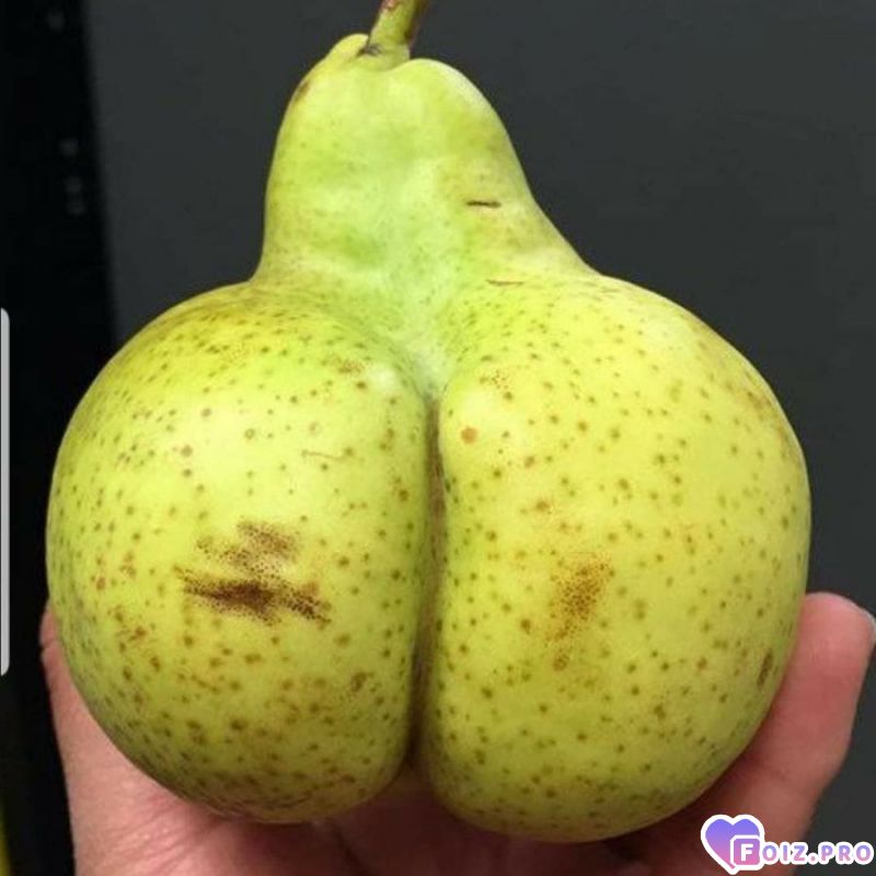 -237319-Груша-Попка-