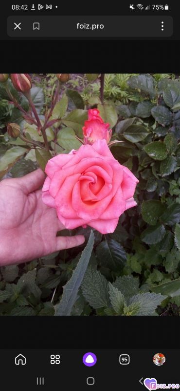 -08-Марта-2023-