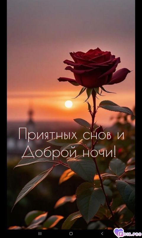 -Доброй-Ночи-