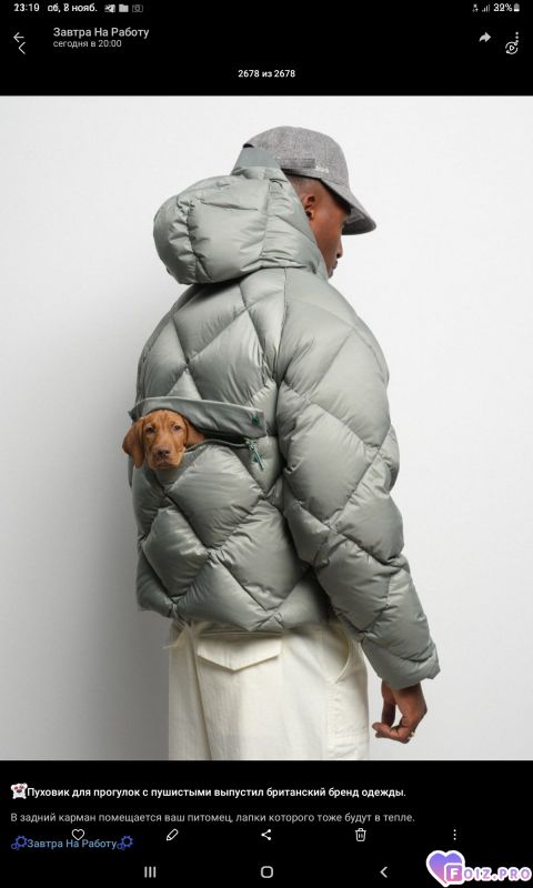 -Пуховик-Сумка-