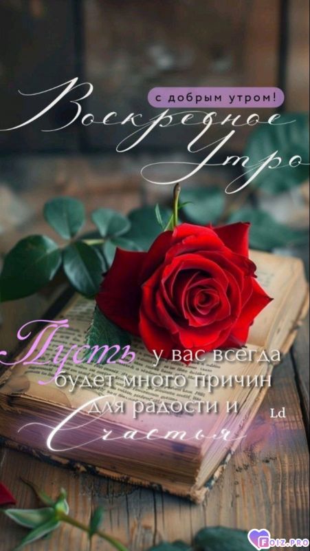 -Доя-Радости-