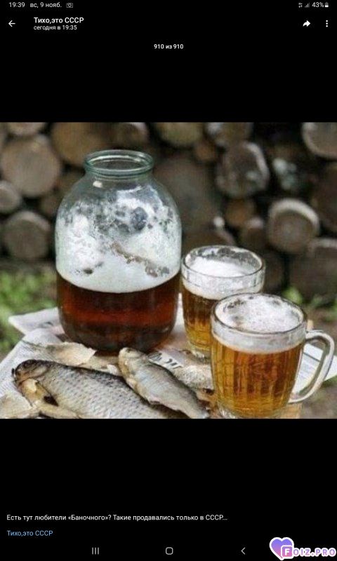 -Пивко-и-Рыбка-