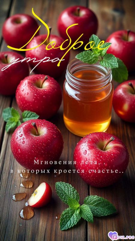 -Мгновения-Лета-