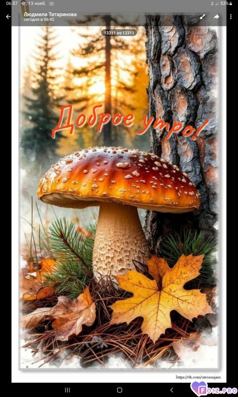 -Доброе-утро-