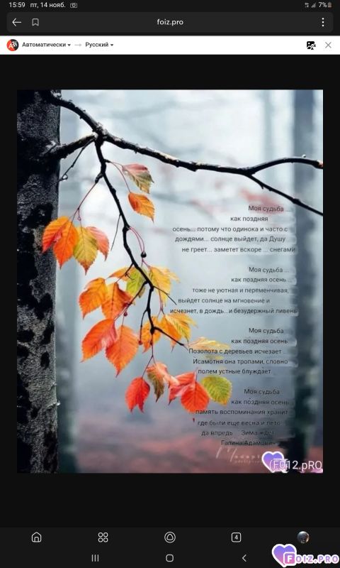 -237319-Моя-Судьба-