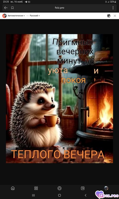 -Ежик-Вечер-