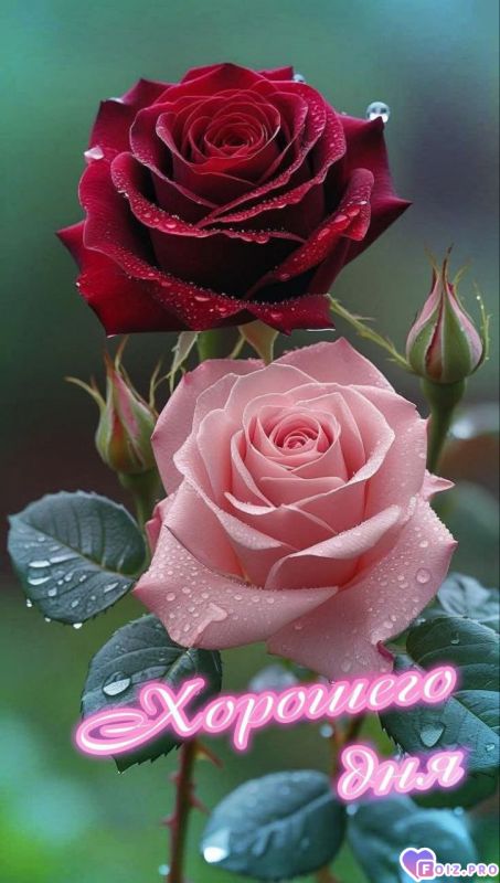 -Хорошего-Дня-