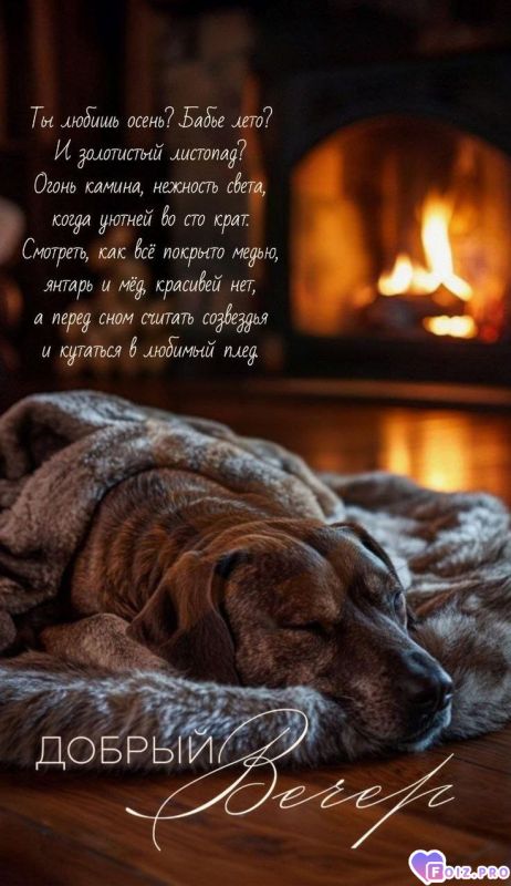 -Вечер-в-Доме-