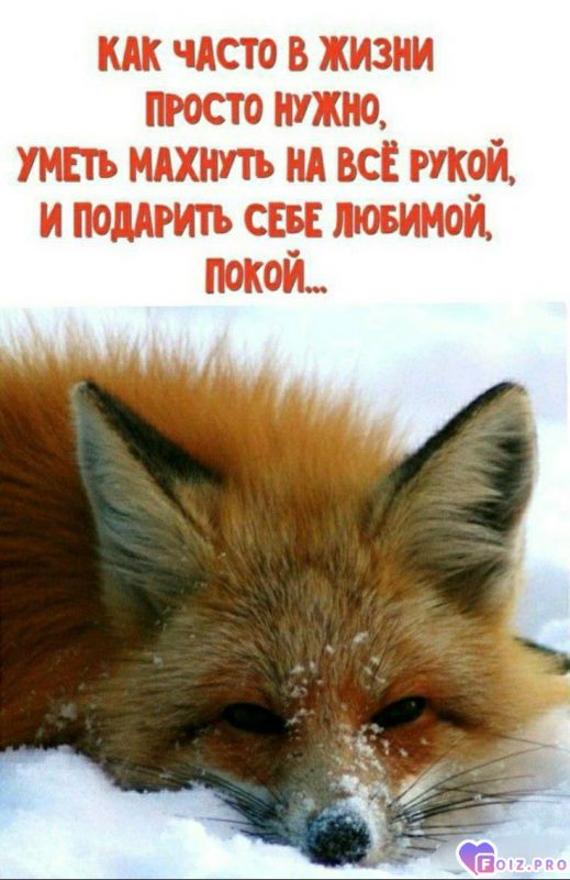 -Подарить-Себе-Покой-