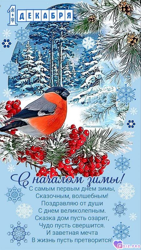 -Начало-Зимы-