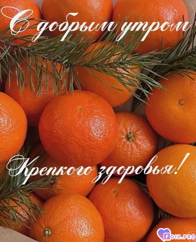 -Мандаринки-Утро-