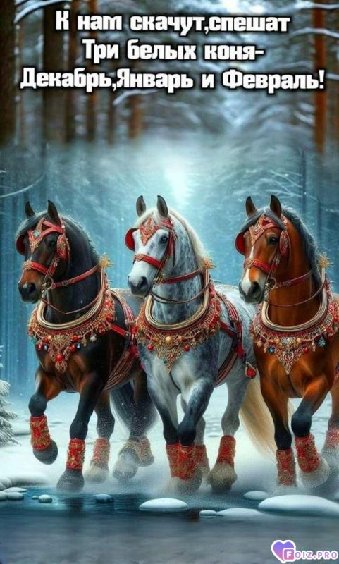 -Три-Белых-Коня-