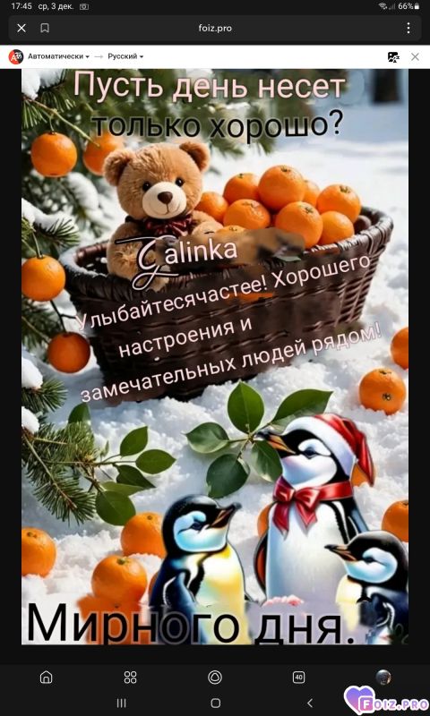 -Мирного-Дня-