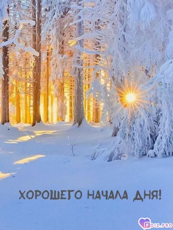 -Зимний-День-