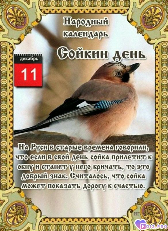 -Сойкин-День-