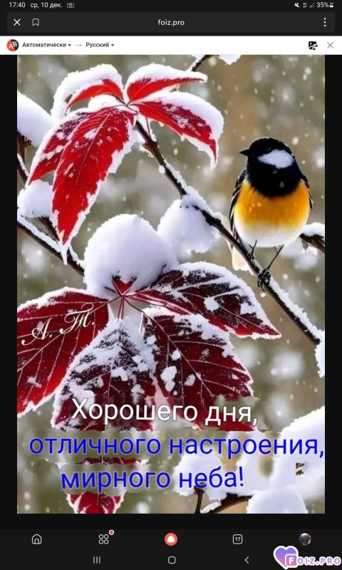 -Хорошего-Дня-