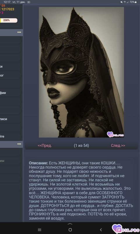 -237319-Женщина-Кошка-